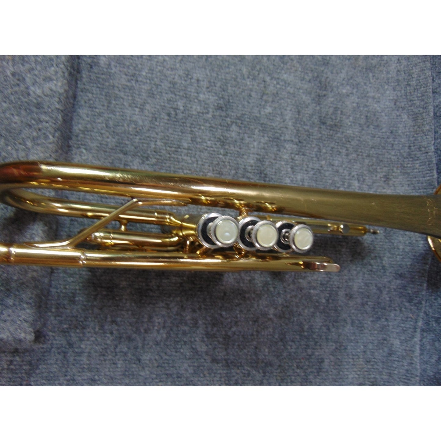 Holton Bb Cornet READY TO PLAY for Beginner Student With Mouthpiece & Care Kit