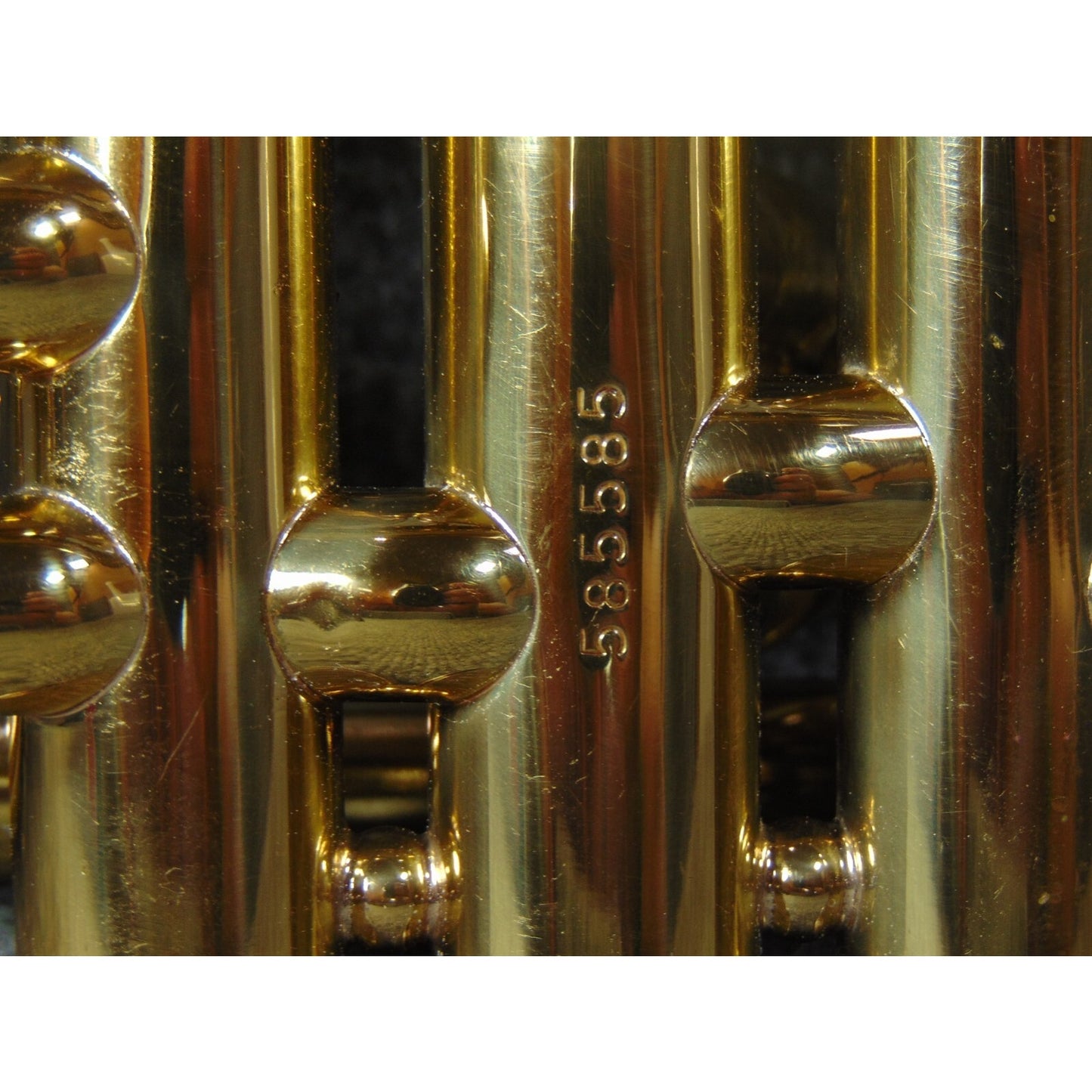 Holton Bb Cornet READY TO PLAY for Beginner Student With Mouthpiece & Care Kit
