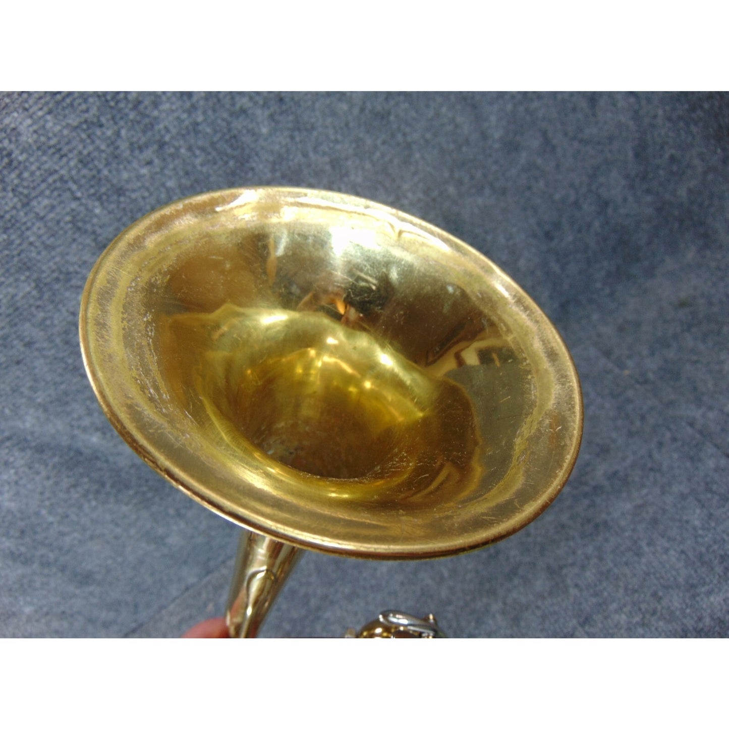 Holton Beginner Student Trumpet Ready to Play Case, Mouthpiece & Care Kit